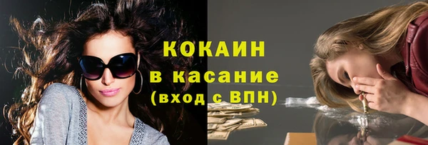 соль ск Алексин