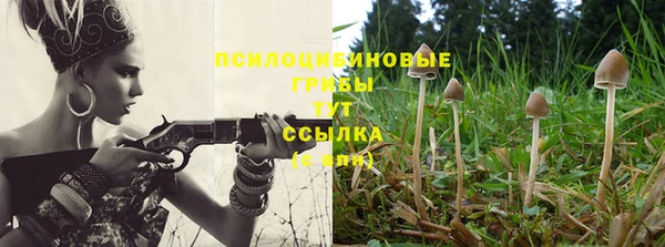 эйфоретик Алзамай