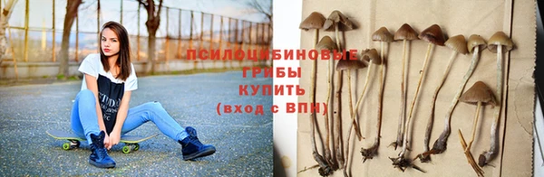 эйфоретик Алзамай