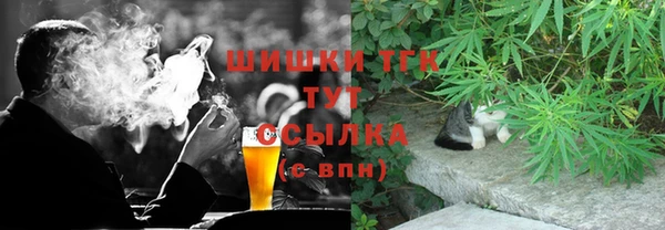 соль ск Алексин