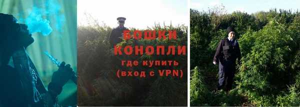 шишки Калининец