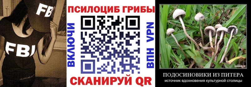 где купить   Кириши  Галлюциногенные грибы GOLDEN TEACHER 