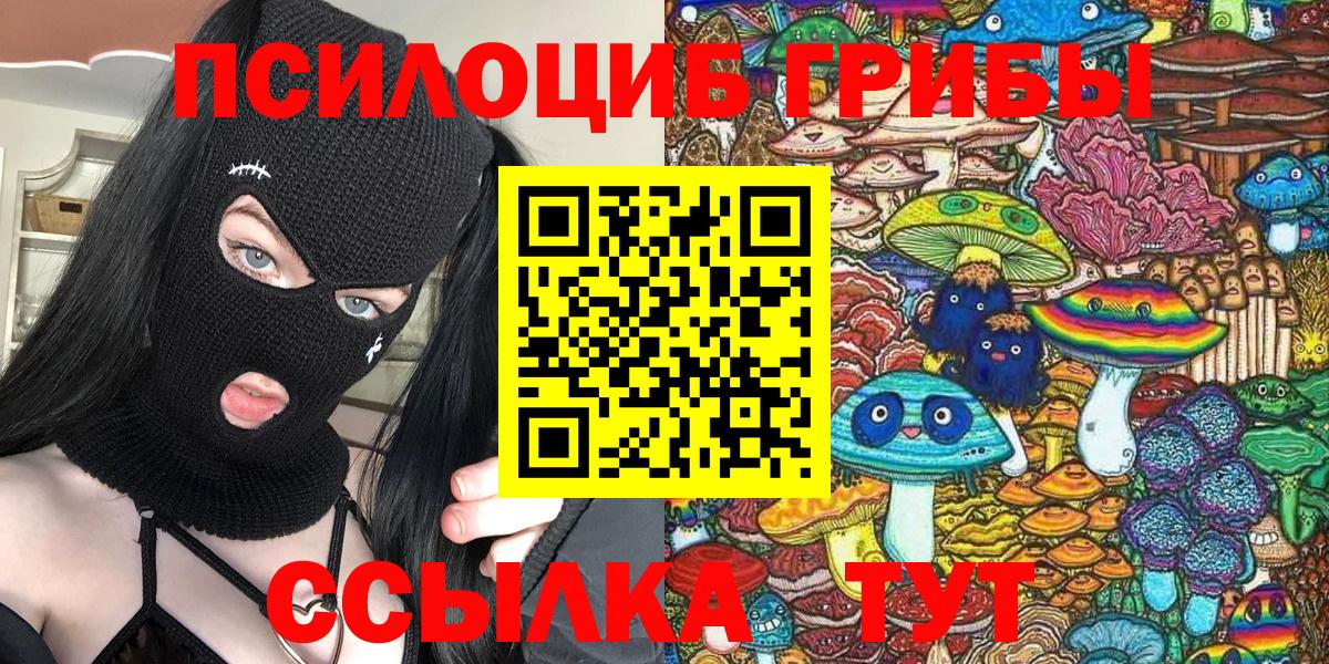 Галлюциногенные грибы GOLDEN TEACHER  Вход с VPN  Кириши  Галлюциногенные грибы Psilocybine cubensis 